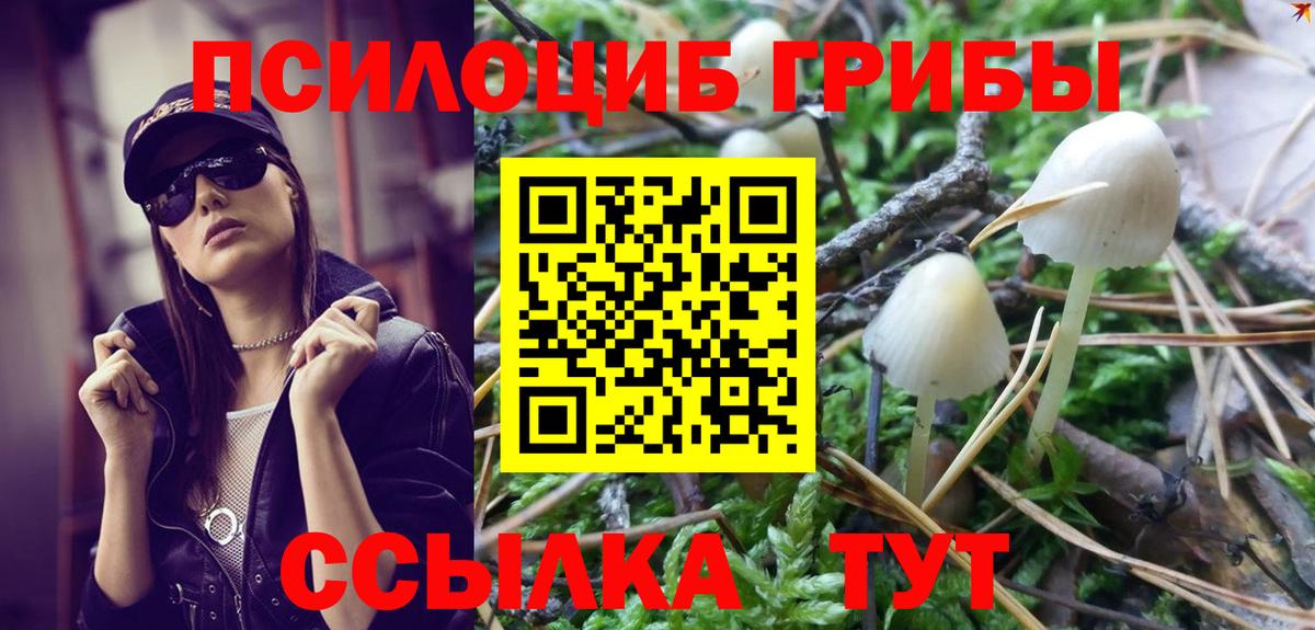 Галлюциногенные грибы GOLDEN TEACHER Прокопьевск